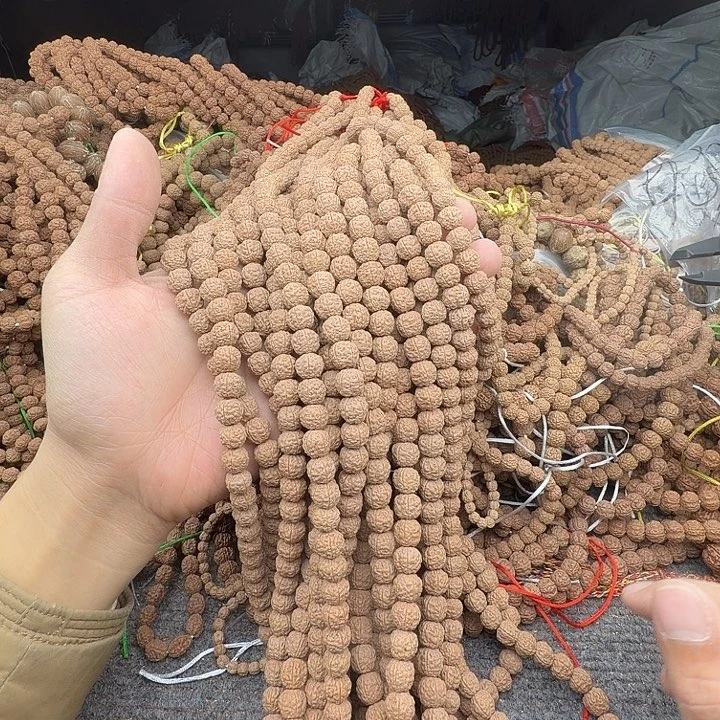 真***龙金刚菩提吊坠谢谢