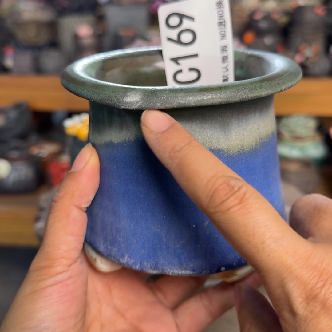 重庆小燕子欢迎大家169