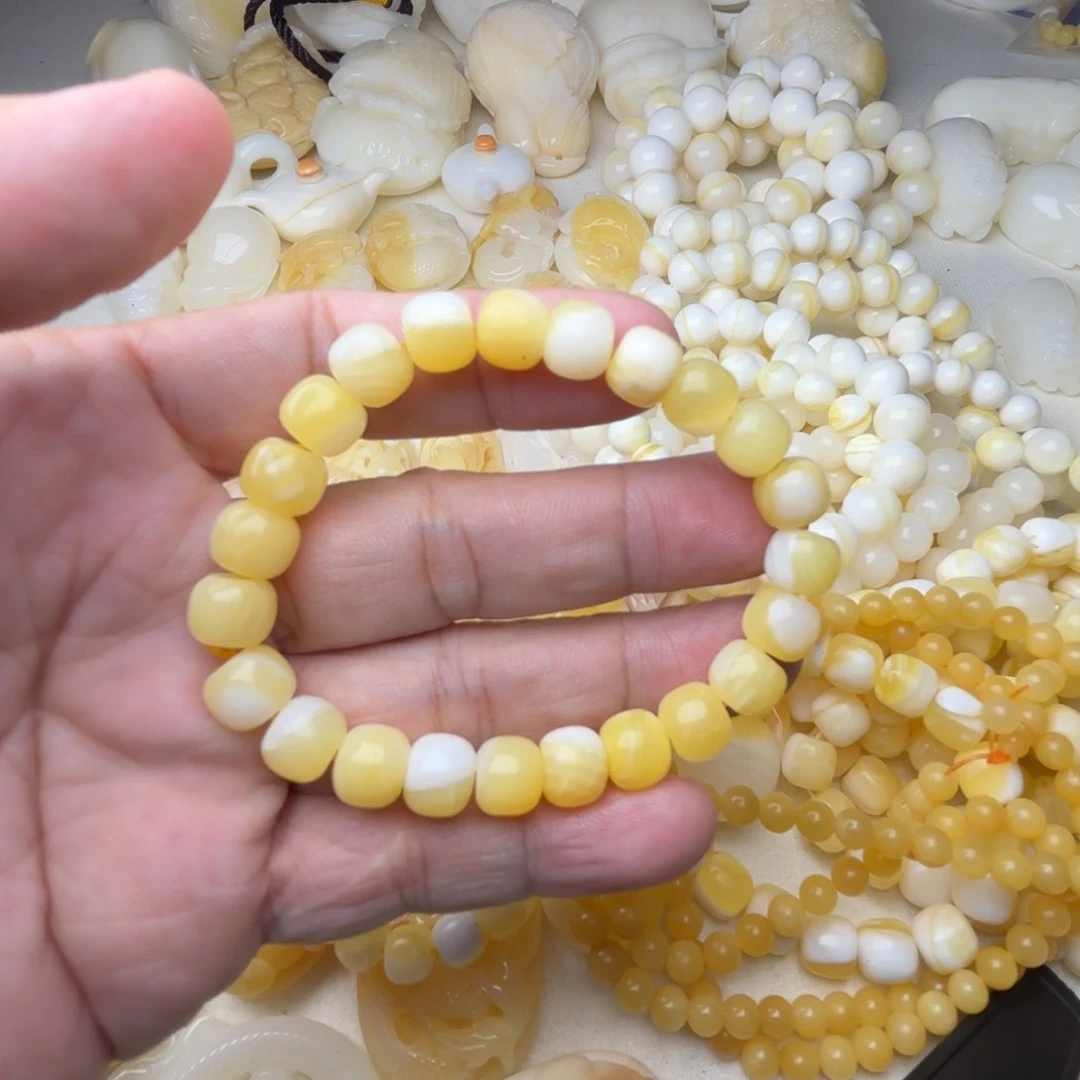 非金属贝壳K*.天然贝壳