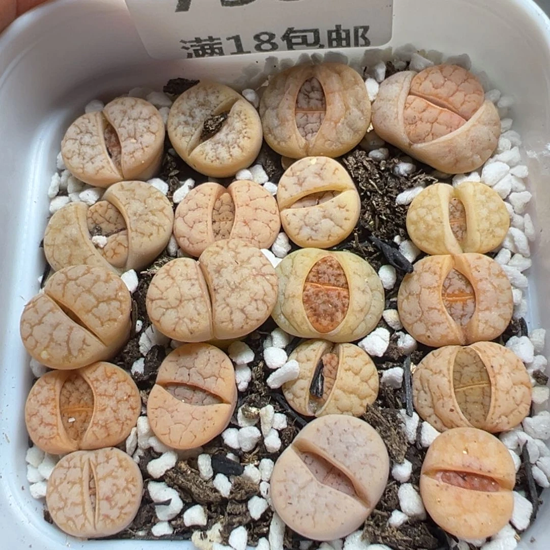 【闪购商品】758……