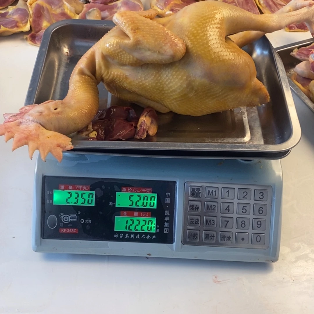 30天中国大陆包装整鸡110
