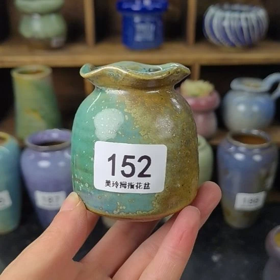 美玲多肉拇指花盆152