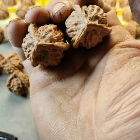 木质类35盘山三棱核桃