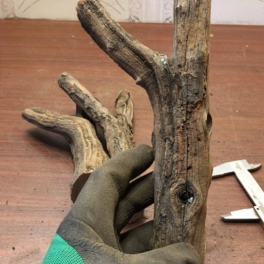 大果紫檀（缅甸花梨）兰****天