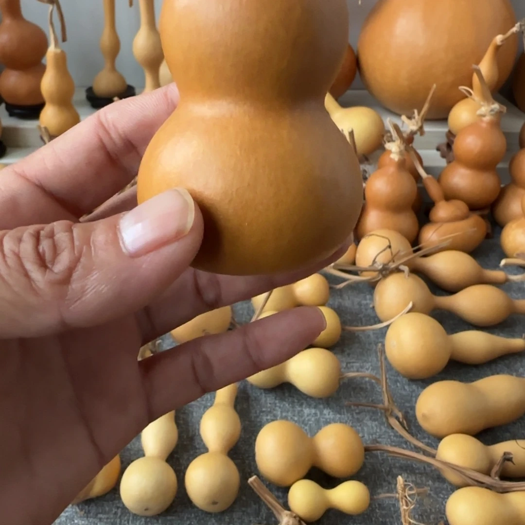 常***珍111111111111111111
