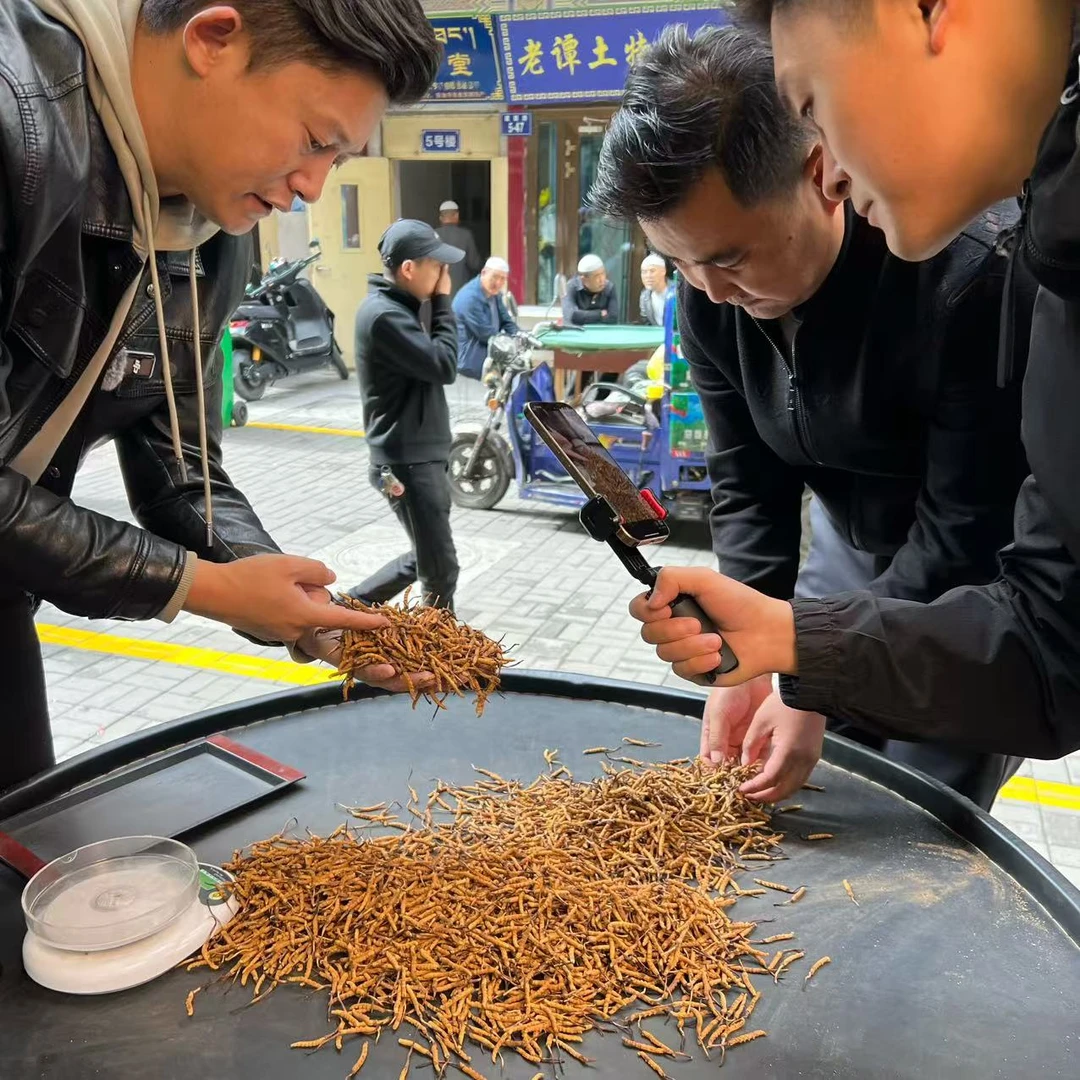 【冬虫夏草】100克 实惠草 二级颜色（有点黑 营养不减） 实收现卖