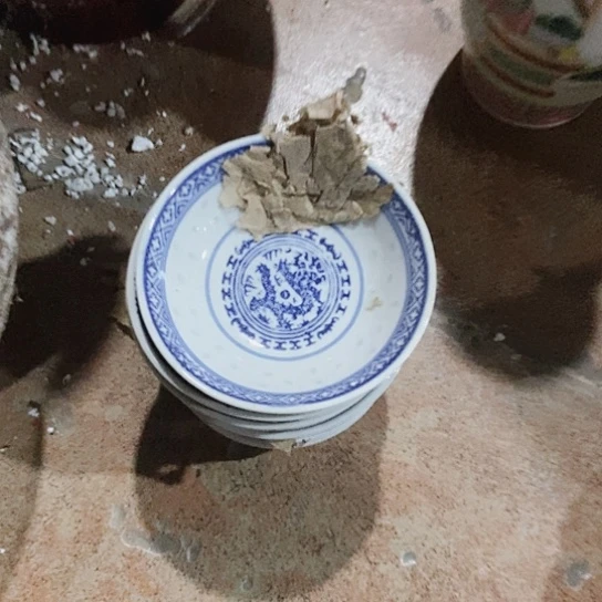 木***2Zczczcxccccccgvxc