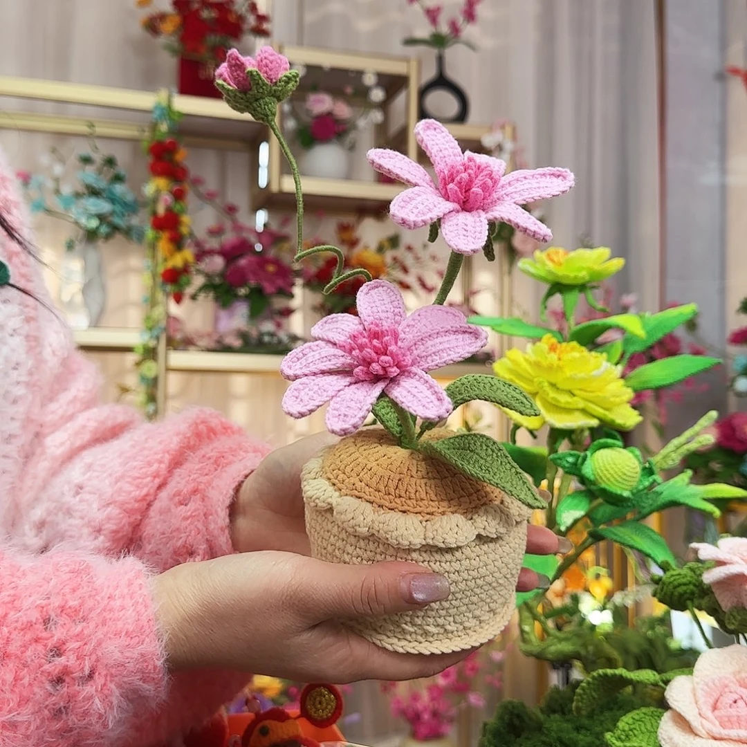 纯手工钩织手工钩织设计盆栽