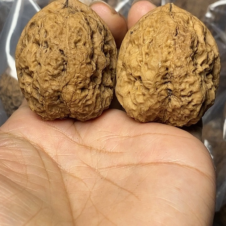 文玩核桃把件云南铁核桃58