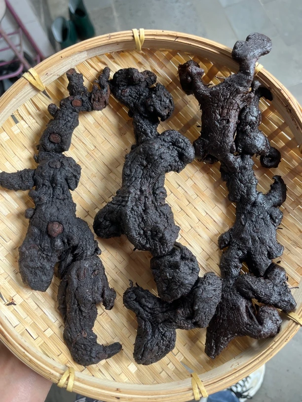 云南下山货，（黄～尖）