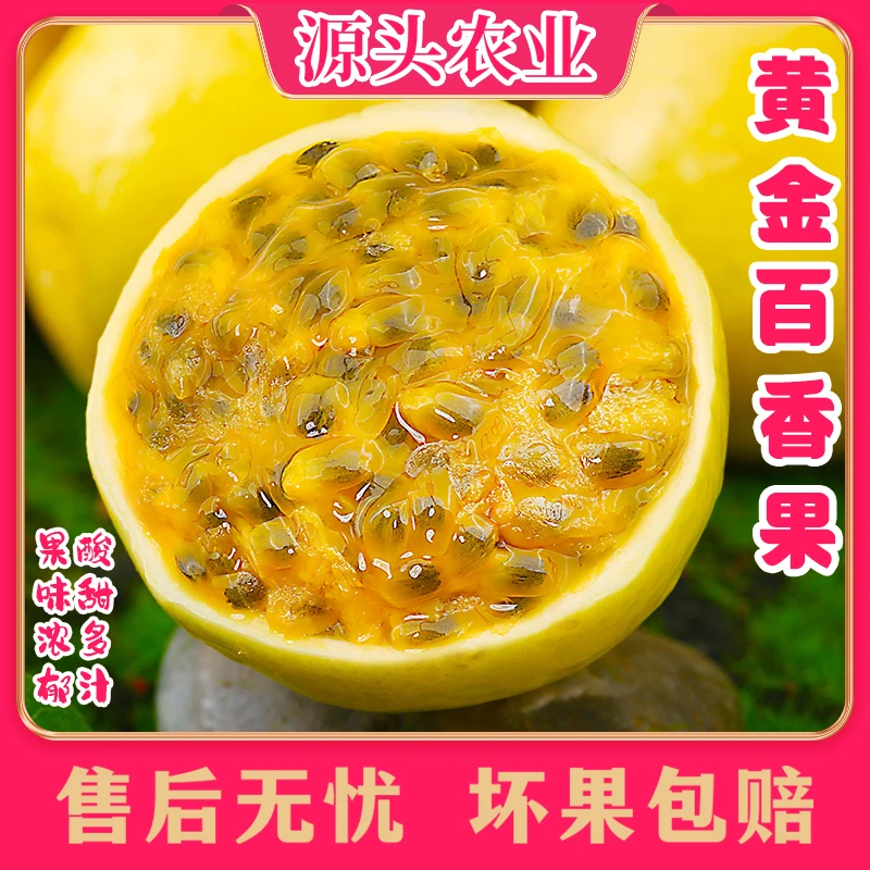 【放皱更甜】黄金百香果钦蜜9号新鲜饱满10个装 S