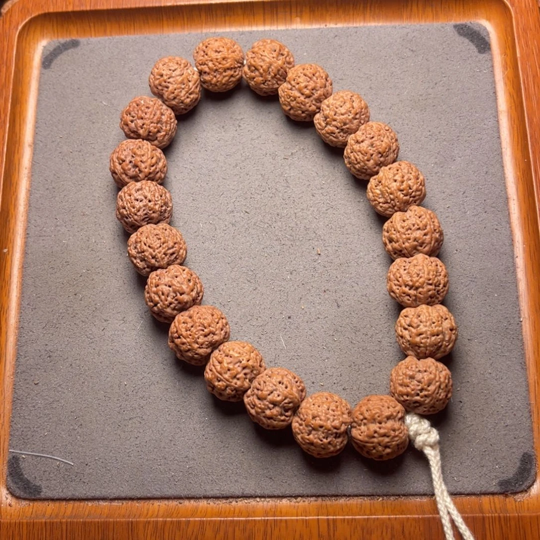 菩提35号金刚菩提五星蜂王18