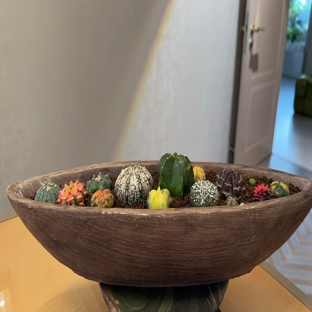 船造型超大号客厅干果盒大盆复古家居装饰花盆