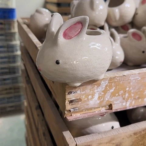 ····全是福利·····