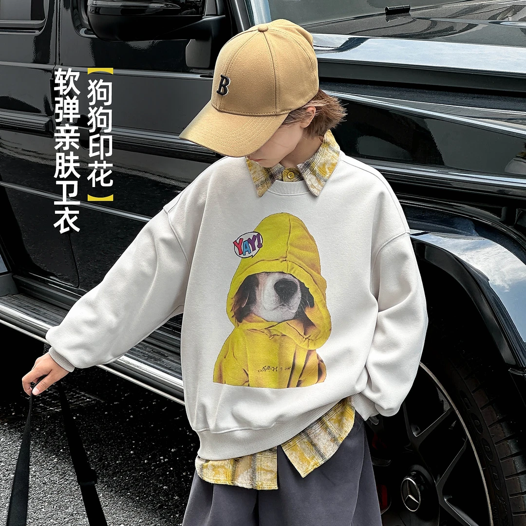 男童卫衣春秋款2025新款套头卡通休闲上衣中大童宽松长袖WYW3000