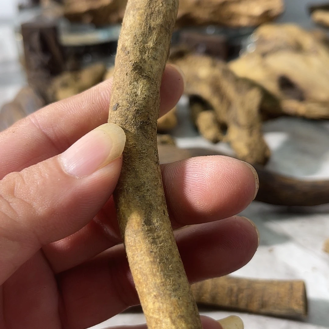 浩**宇手工艺／沉水母树根料