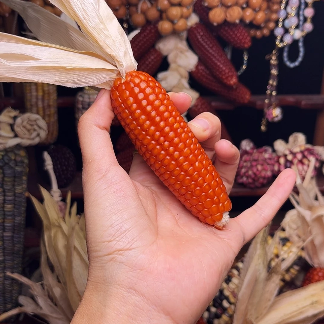 A***美有机玻璃小美大漏