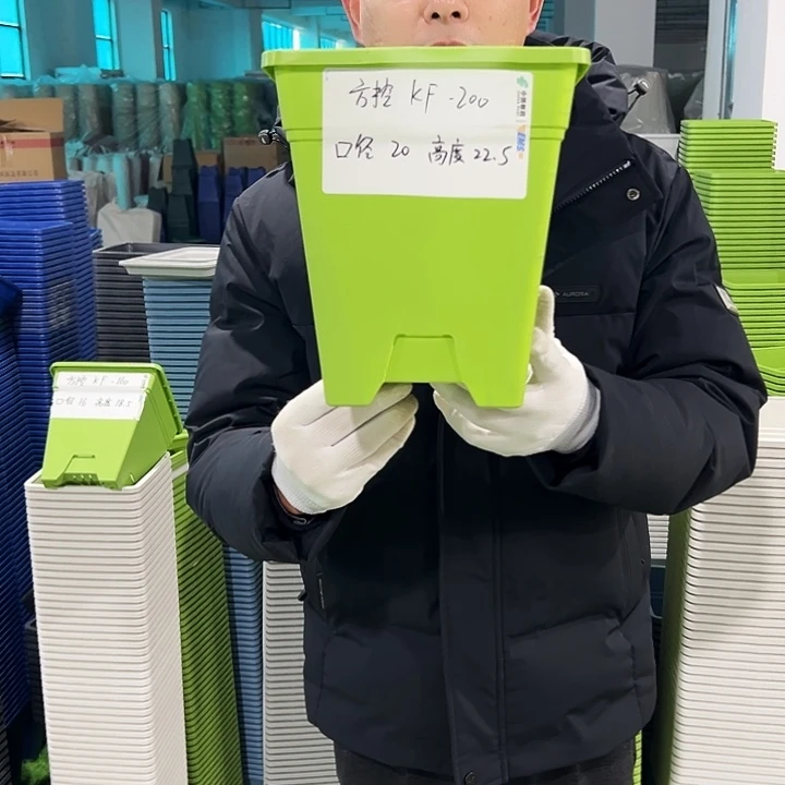 正品方盆口20高22果绿6只无托