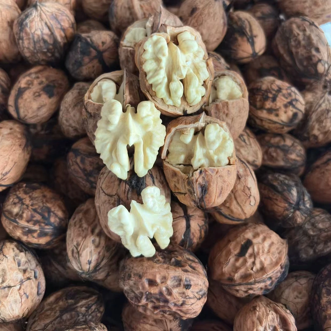正宗高原新鲜老树生核桃去青皮发货（大）