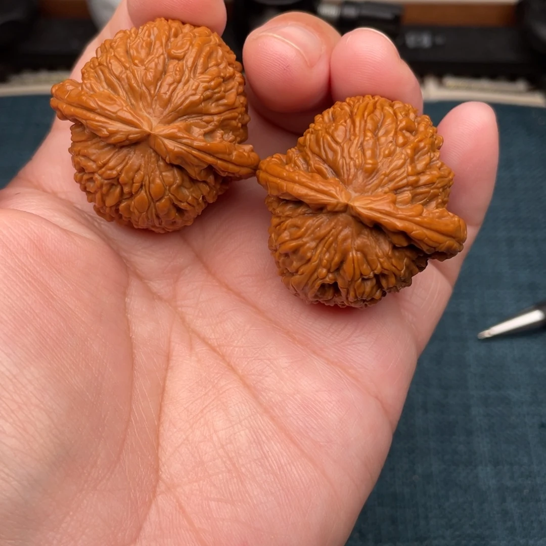 把件文玩核桃全品红皮白狮子38
