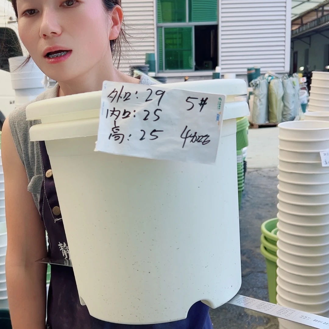 四季盆5#白色6个无托