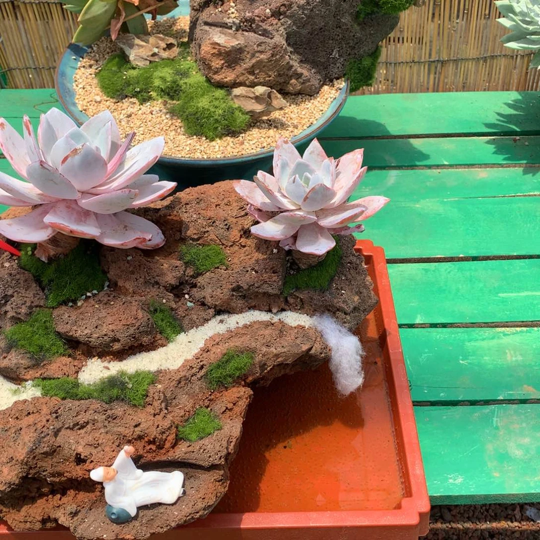 漂亮点点滴滴都多大