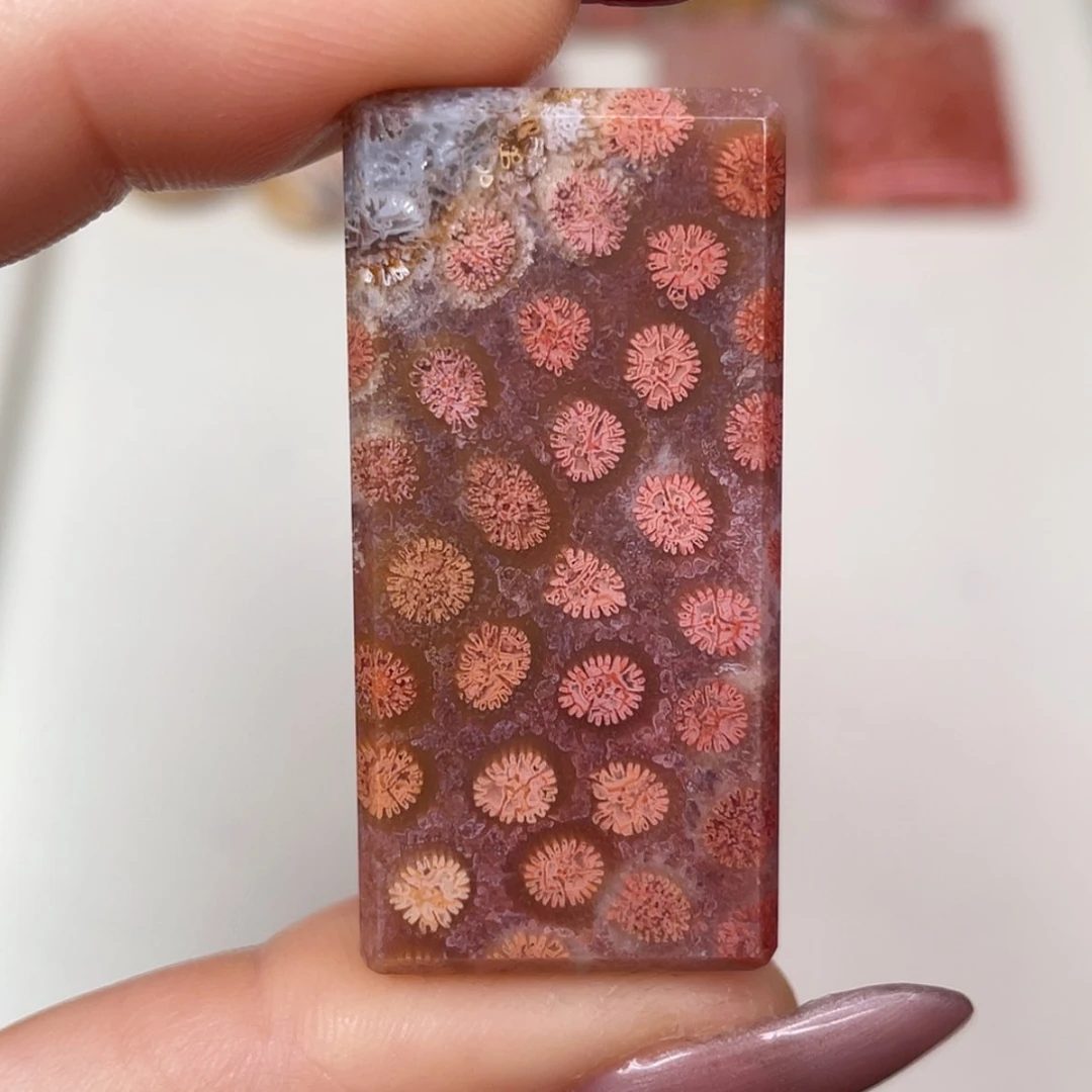 【闪购商品】未镶嵌吊坠(赠链)硅化玉