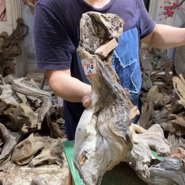 树脂星***?你也不要生气啦好不好