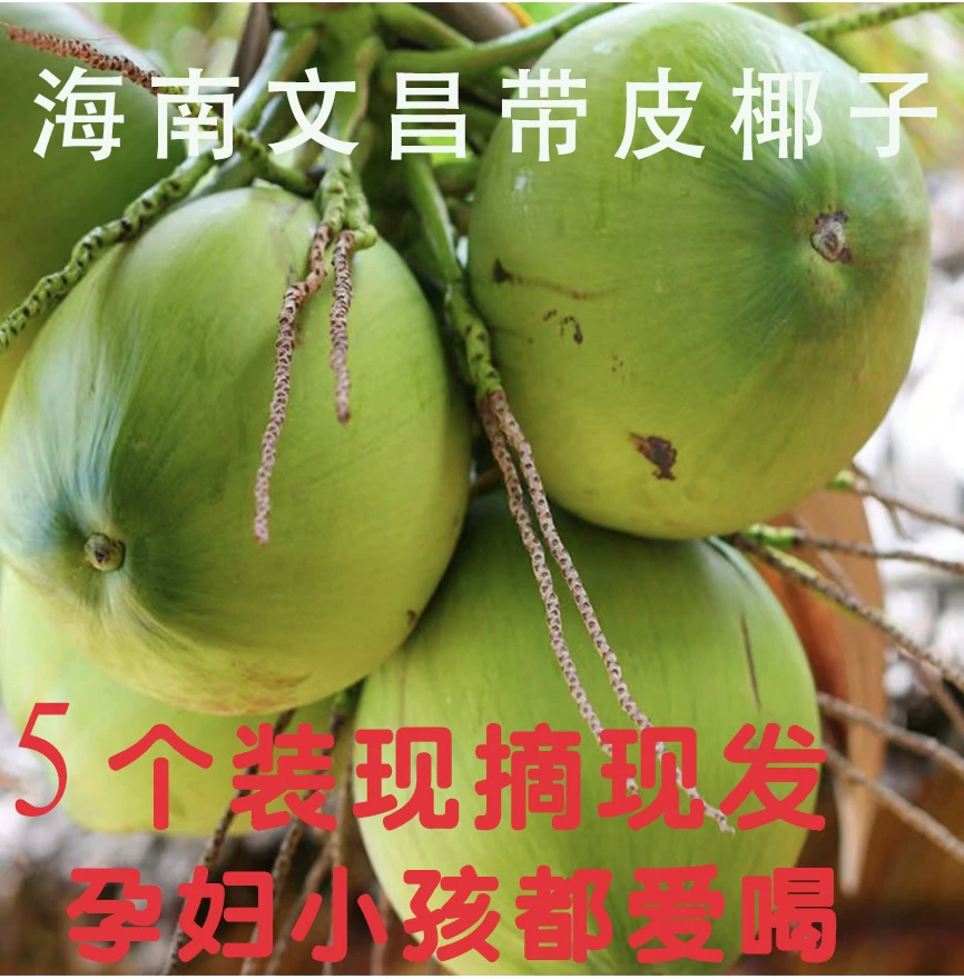 海南文昌椰子当季新鲜热带水果带皮椰青现摘整箱5个装天然椰汁