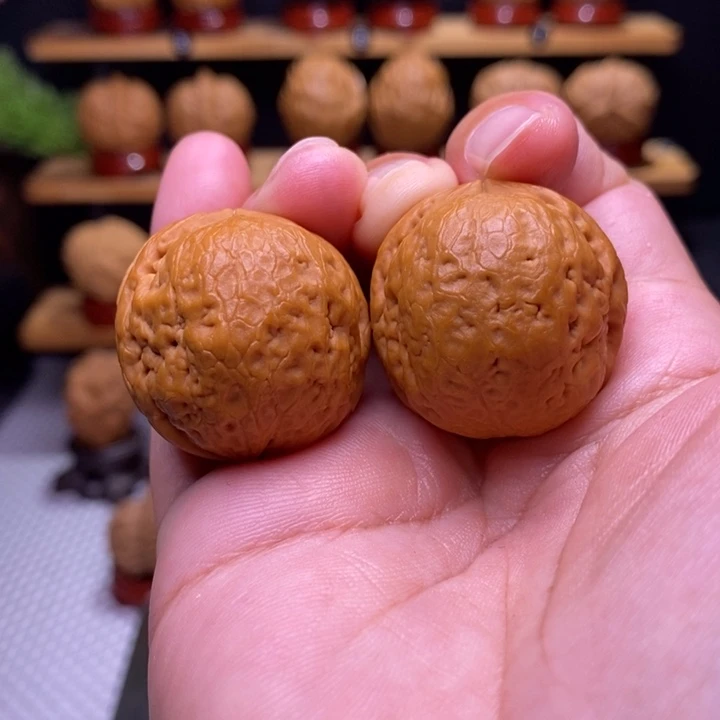 核桃云铁龙珠26号