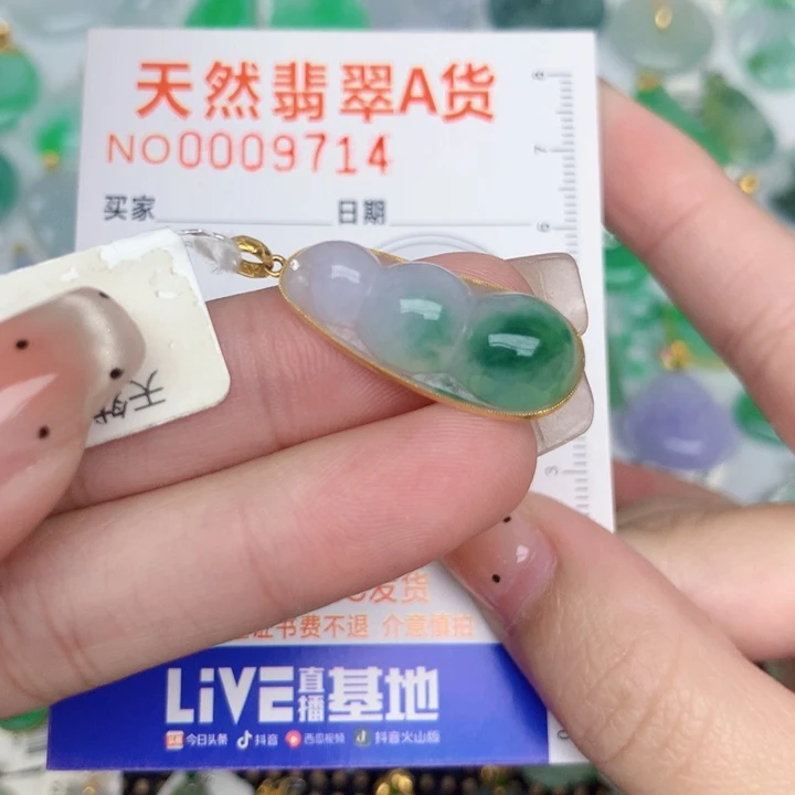 翡翠18K金镶嵌颈饰豆子