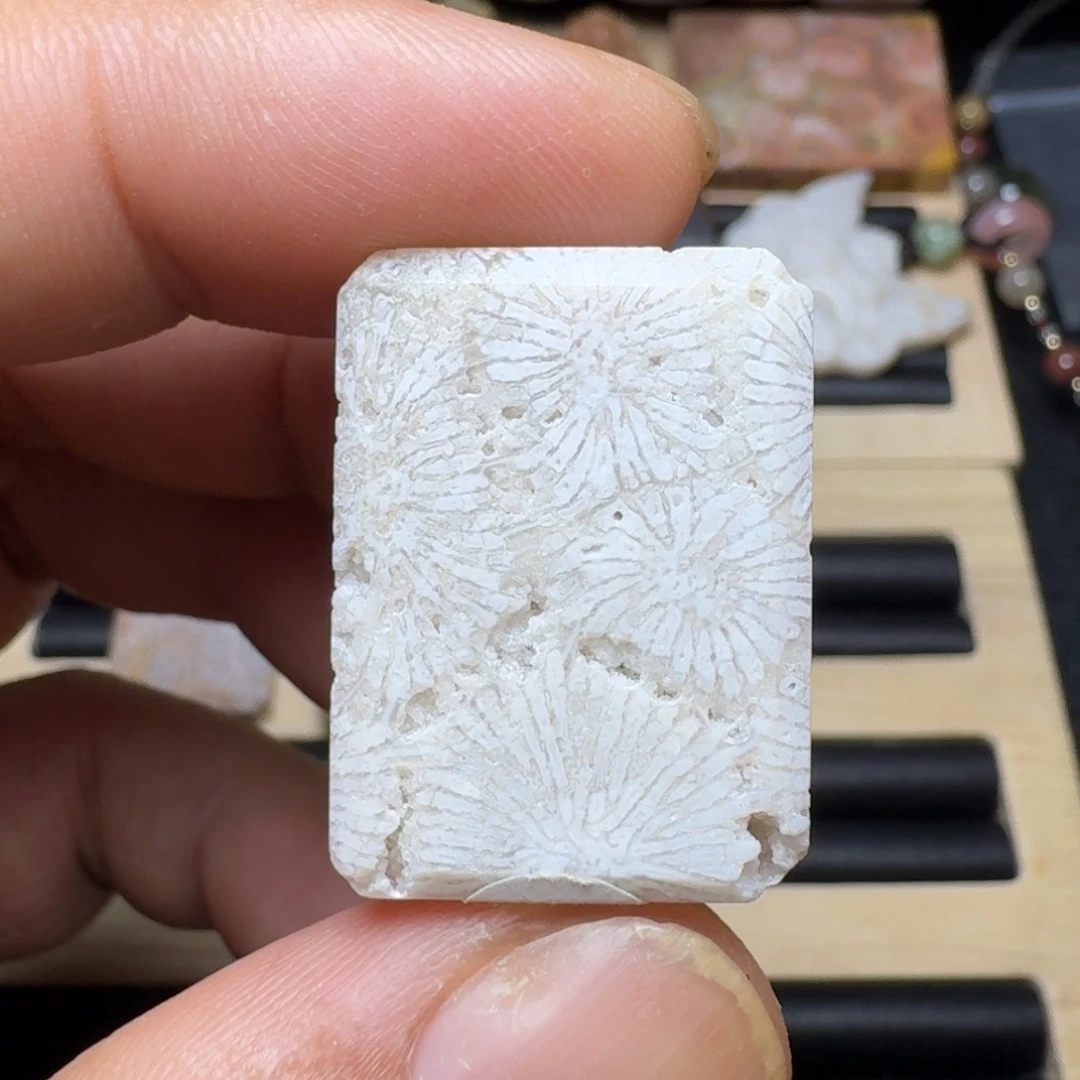 未镶嵌纯天然色有机玉石保真色硅化玉