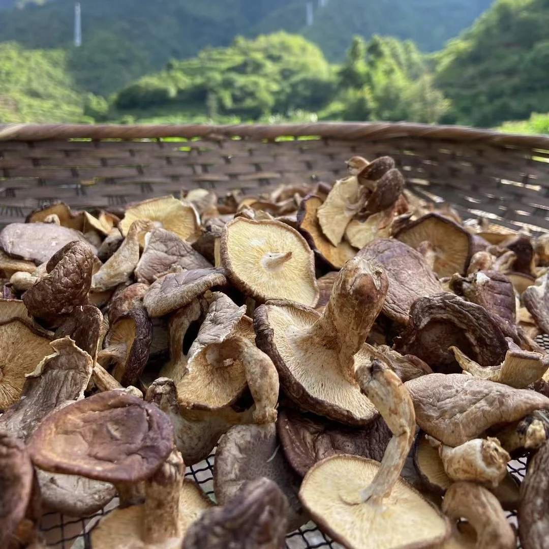 （阿布专属）野生小香菇菌250克起拍