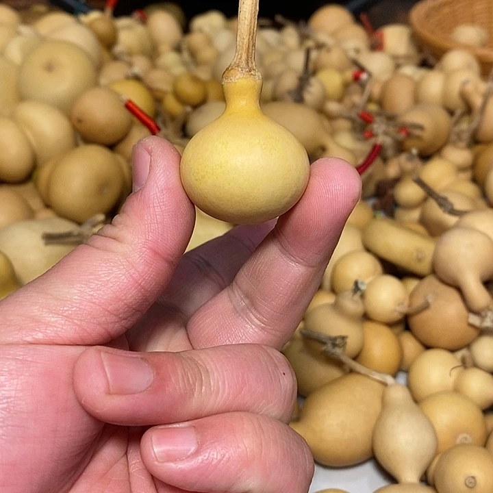余**己精品葫芦手把葫芦4