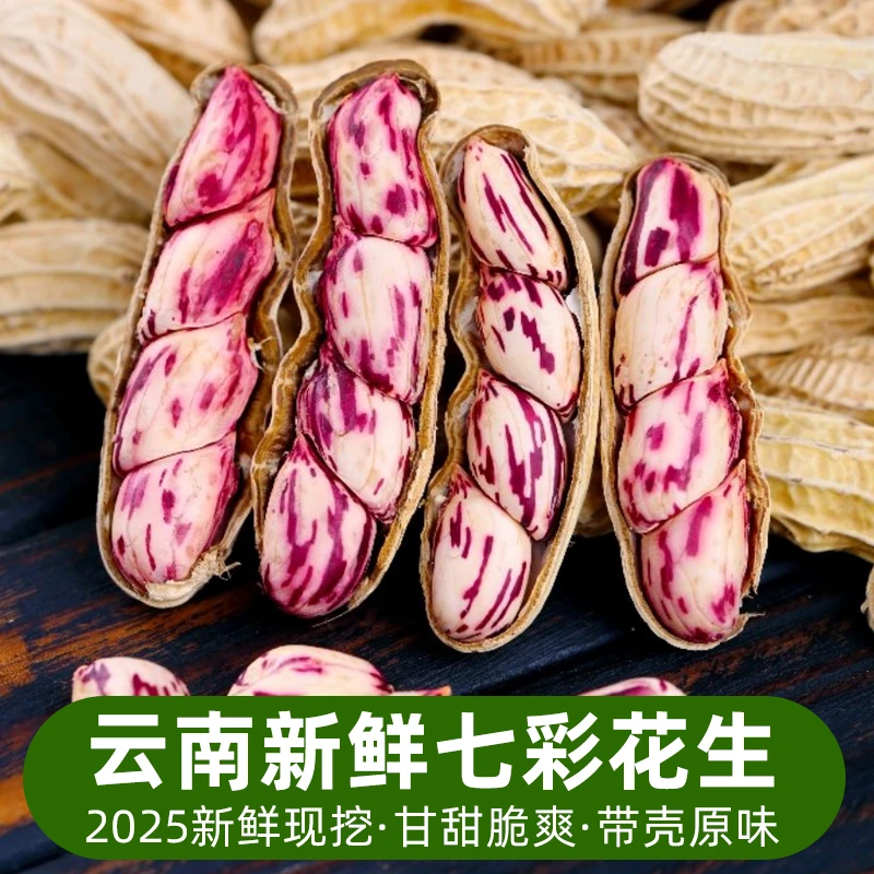 云南新鲜七彩花生农家自种 1斤起香甜水果花生手工挑