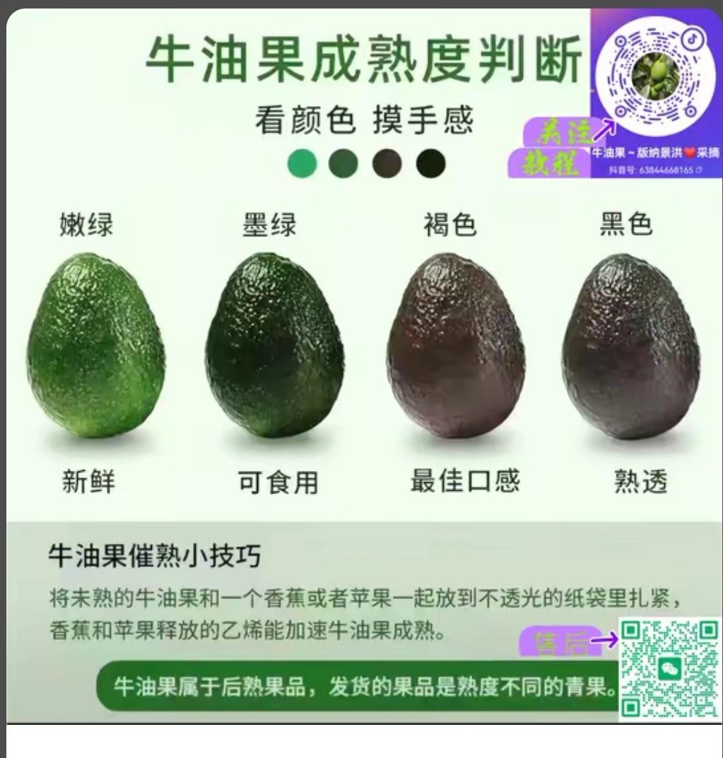 新鲜当季牛油果 果王 都市霸总款