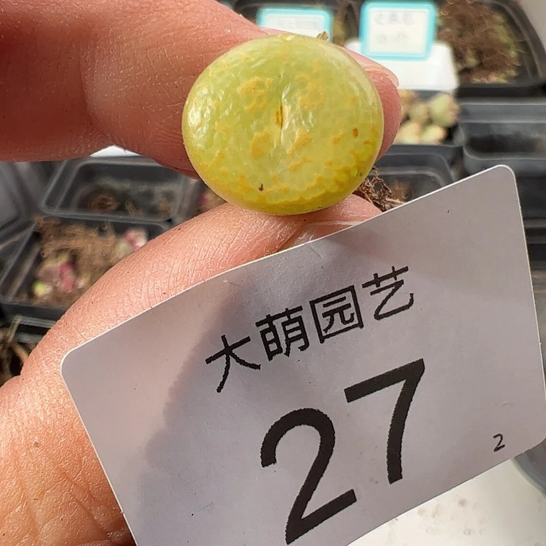 000027 一物一拍……