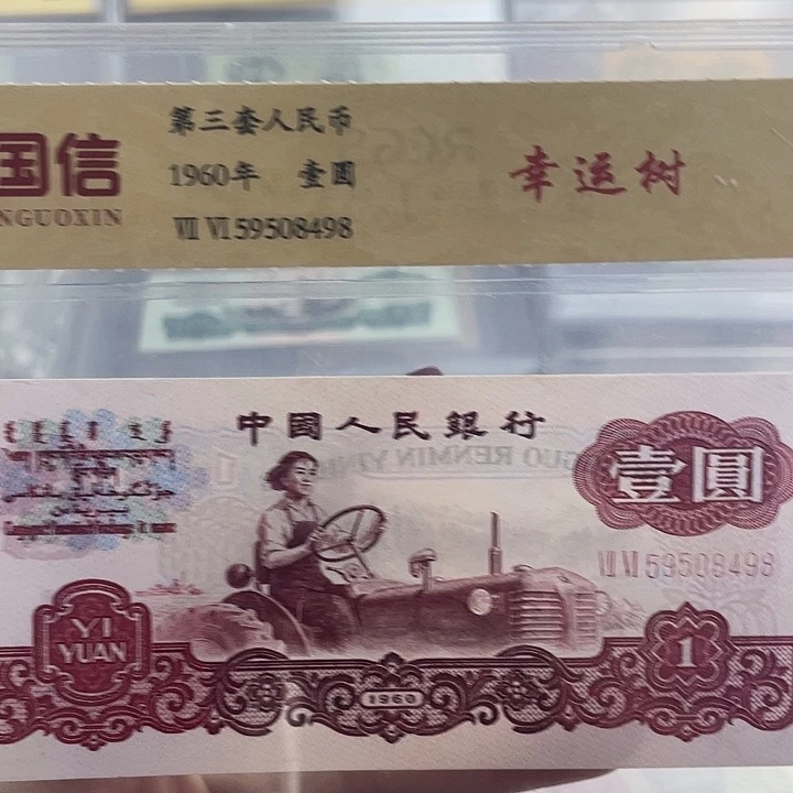 一元荧光幸运树一张 小鑫