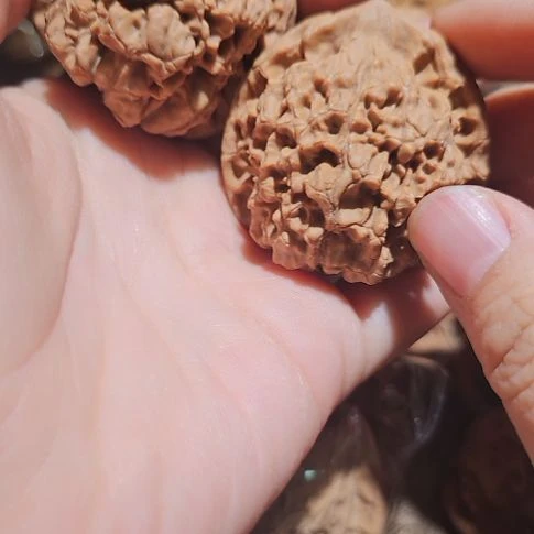 吊坠文玩核桃44管帽