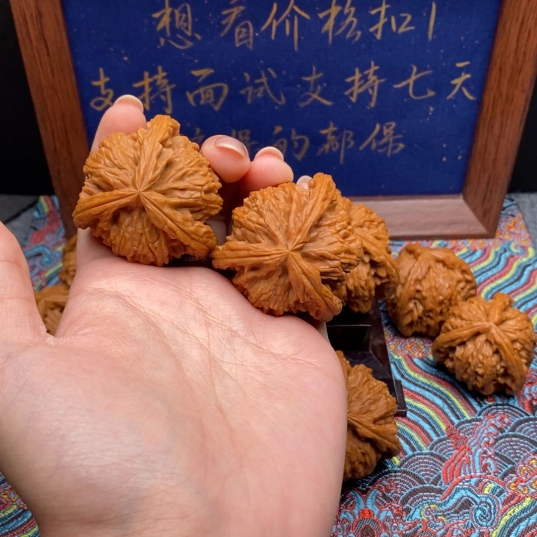 【闪购商品】黑**默白狮