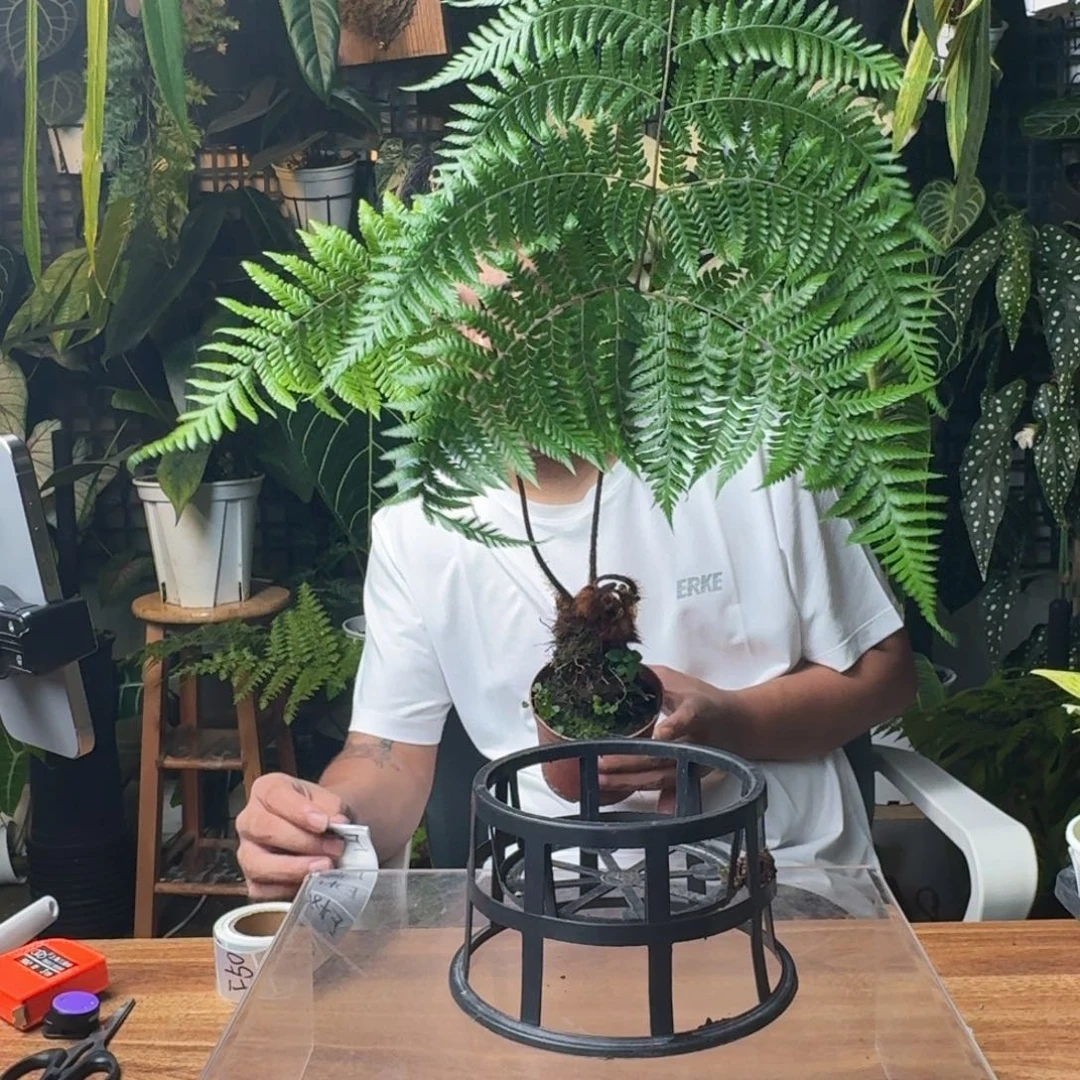 无花朵一物一拍E44