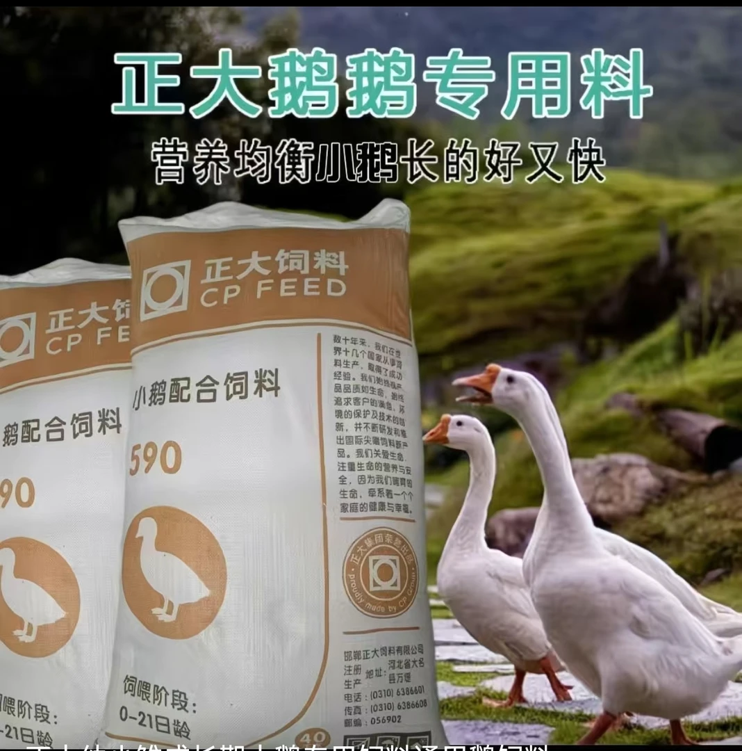 正大正品通用小鹅饲料小鹅大鹅养殖开口颗粒通用青年狮头鹅专用