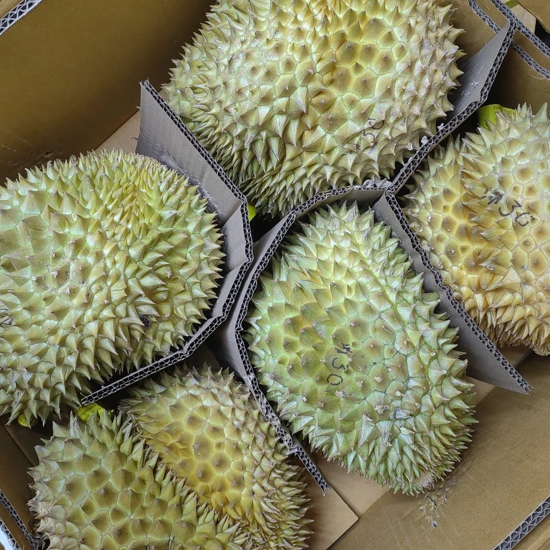 空运树熟新鲜榴莲核小公斤一物一拍榴莲同城送金枕泰国