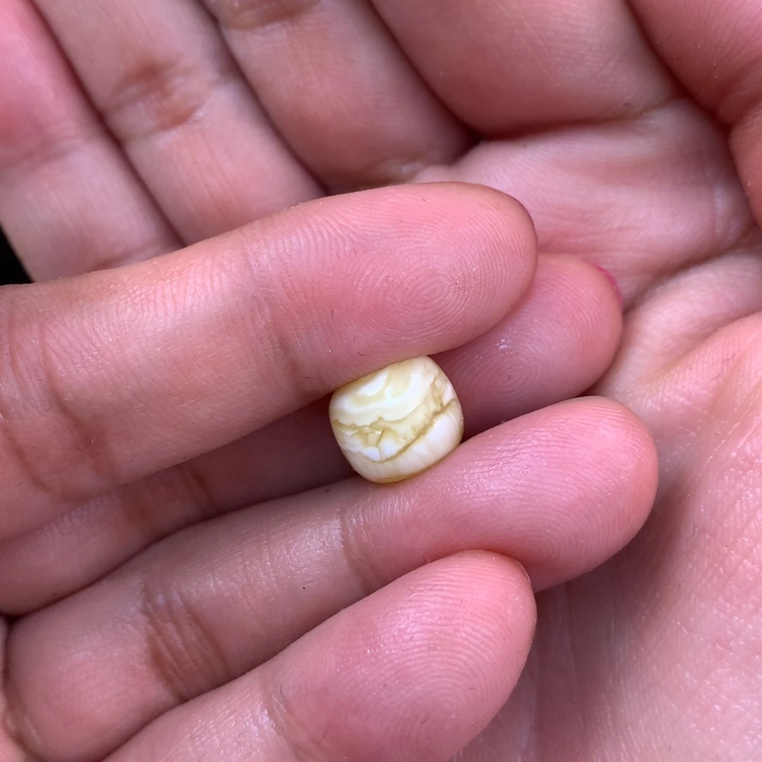 未镶嵌琥珀裸石.蜜蜡