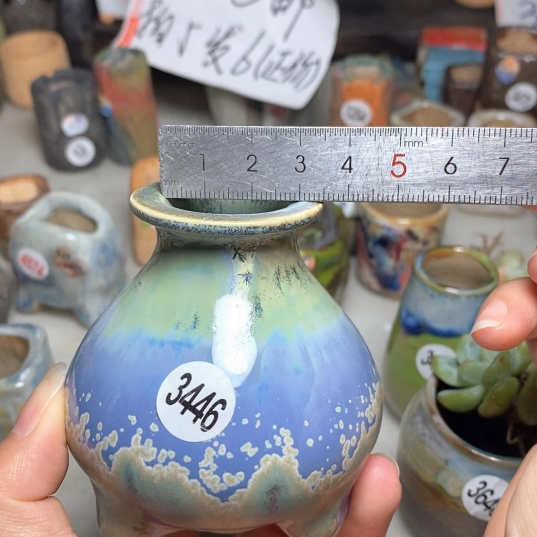 拍5送一个小礼物