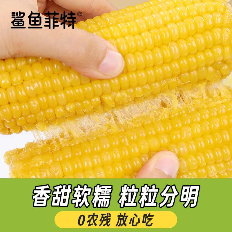 鲨鱼菲特粗粮轻食黄糯白糯黑糯玉米香甜糯东北黏苞米早餐食材夜宵
