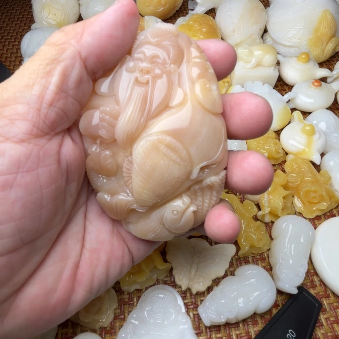 经***济贝壳非金属天然贝壳