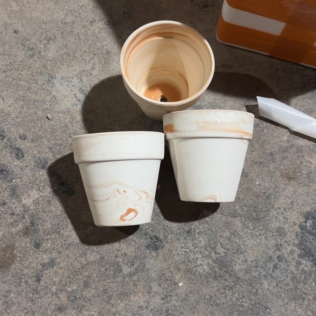 橘里橘气10口10高3个【微瑕】