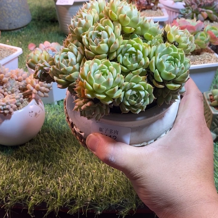 0412啊啊啊啊啊啊啊啊啊