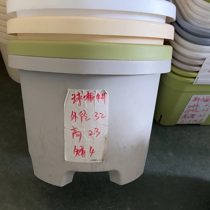 球根4#口径32高23无托果绿5个